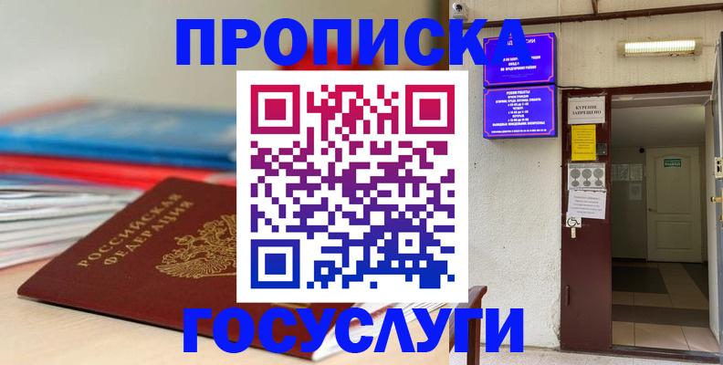 прописка законно в Сольцах